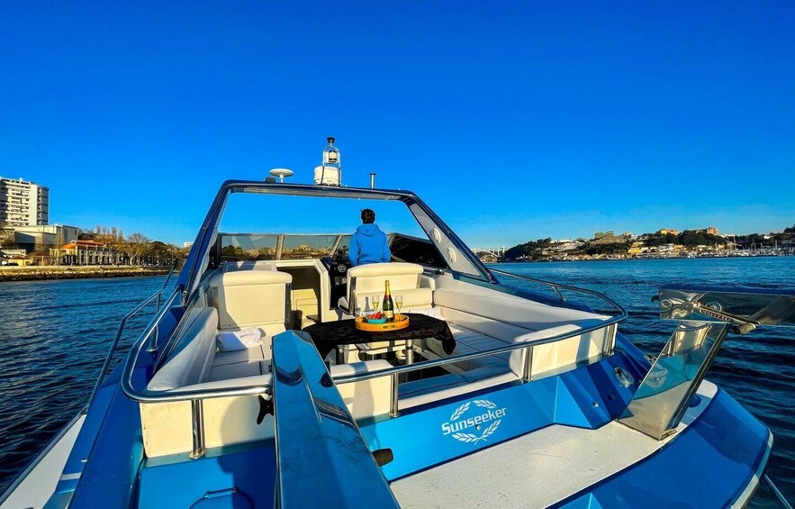 Picture 7 for Activity Porto: Douro River Private Small Group Boat Tour