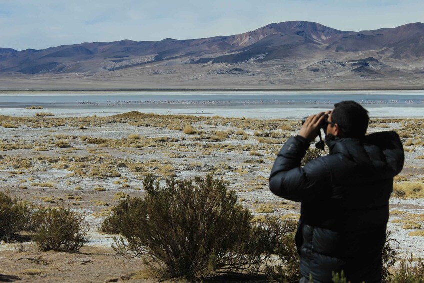 Picture 1 for Activity Highlights of Altiplano in an 4WD Overland Expedition