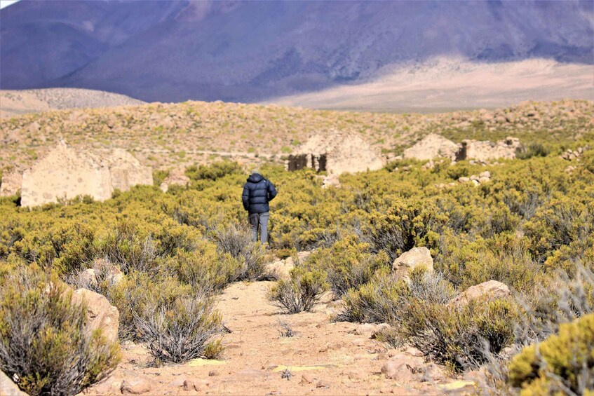 Picture 16 for Activity Highlights of Altiplano in an 4WD Overland Expedition