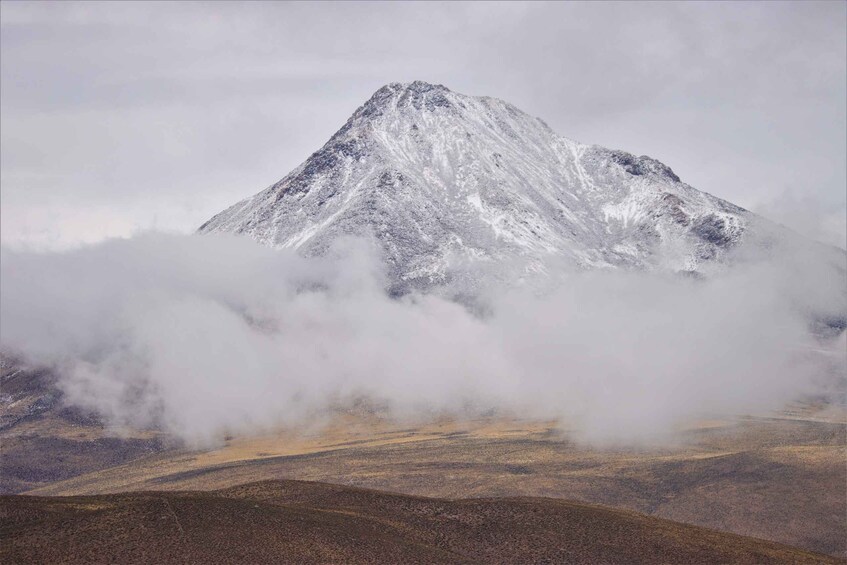 Picture 12 for Activity Highlights of Altiplano in an 4WD Overland Expedition