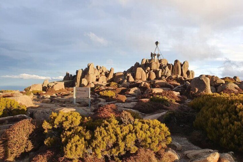 Mt Wellington Afternoon Small Group Driving Tour