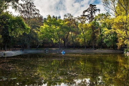 2-Hour Meditation Experience on the Shores of Lake Chapultepec