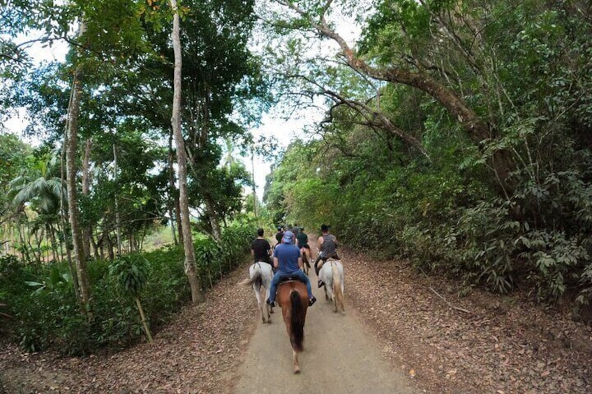 Jaco Horse Riding Adventure Tour