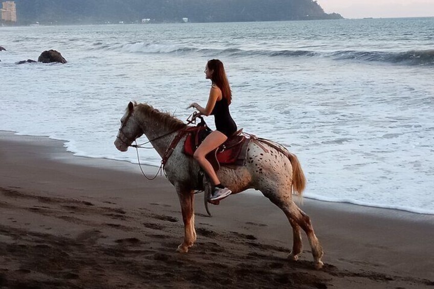 Jaco Horseback Riding Adventure Tours