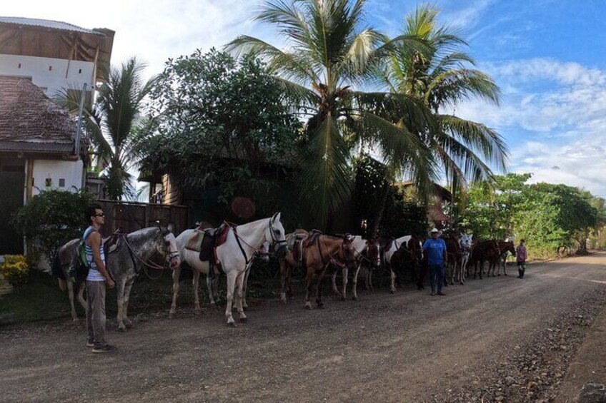 Jaco Horse Riding Adventure Tour