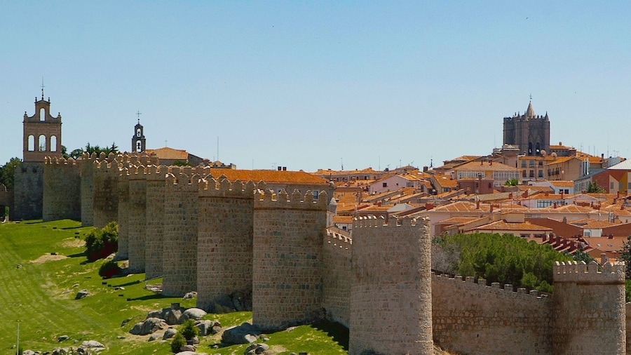 Ávila: Tour Privado Casco Histórico y Basílica San Vicente