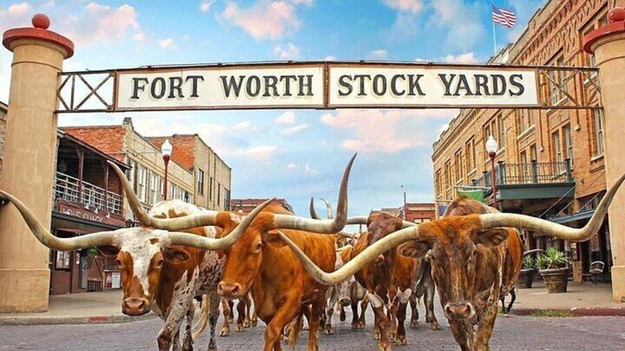 Fort Worth Highlights & Southfork Ranch Combo Private Tour
