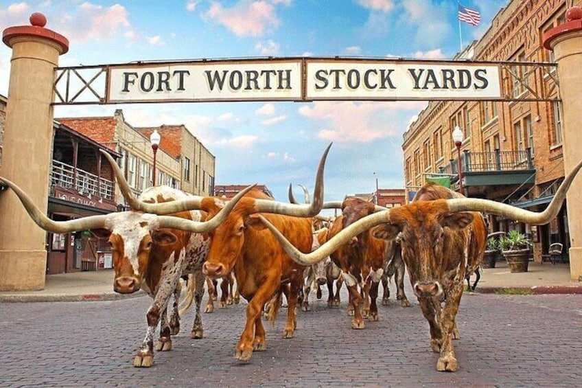 Fort Worth Highlights & Southfork Ranch Combo Private Tour