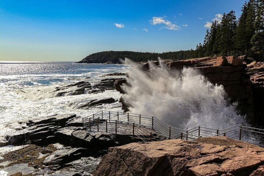 Acadia's Ocean Path Self-Guided Walking Audio Tour