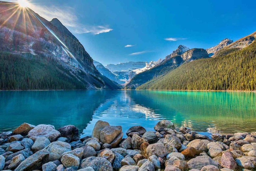 Picture 2 for Activity From Calgary: Private Lake Louise and Banff Day Trip