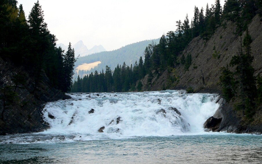 Picture 1 for Activity From Calgary: Private Lake Louise and Banff Day Trip
