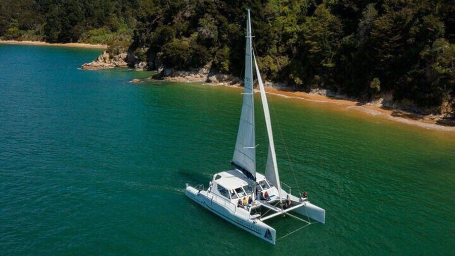 Cruise, Walk, and Sail in Abel Tasman National Park
