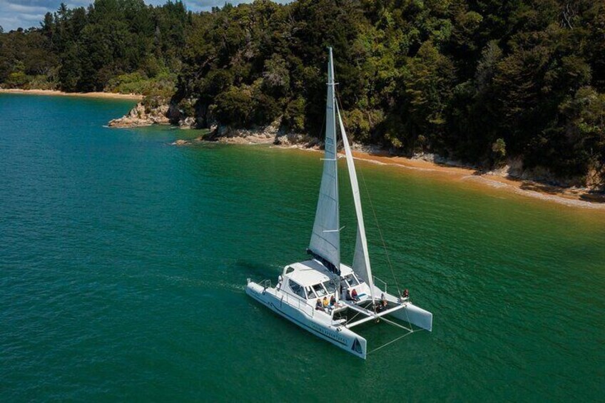 Cruise, Walk, and Sail in Abel Tasman National Park