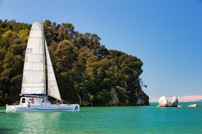 Sail, Seals, and Walk Tour in Abel Tasman