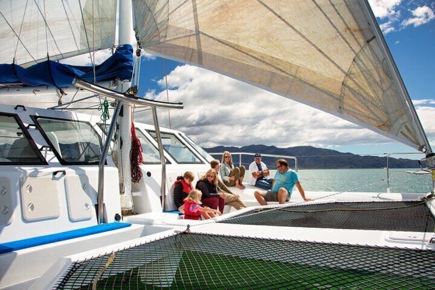 Sail, Seals, and Walk Tour in Abel Tasman