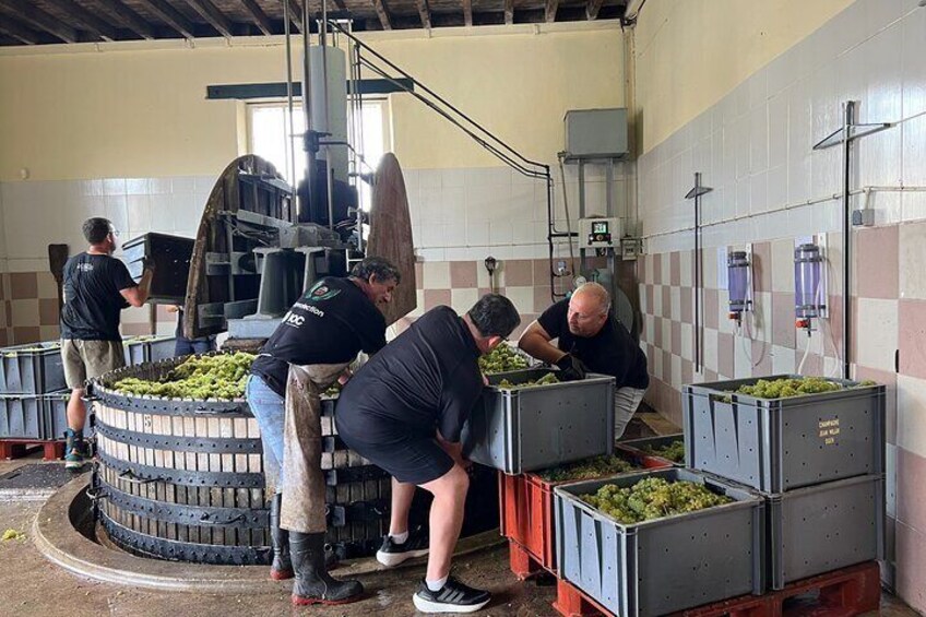 Bubble Champagne Tour from Epernay (Small group tour)