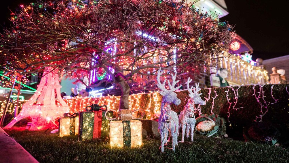 Picture 2 for Activity DHCL - Guided walking tour | NYC: Dyker Heights