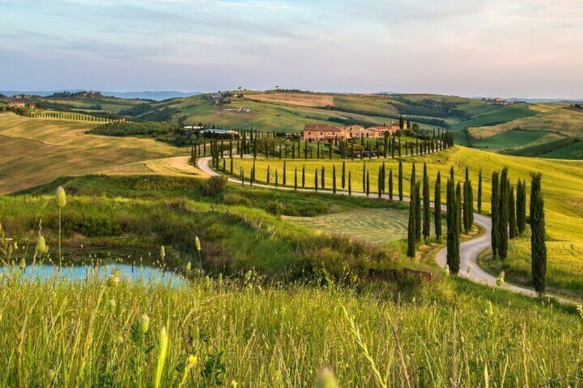 13 Hours Private Guided Wine Tasting Tour in Tuscany from Rome