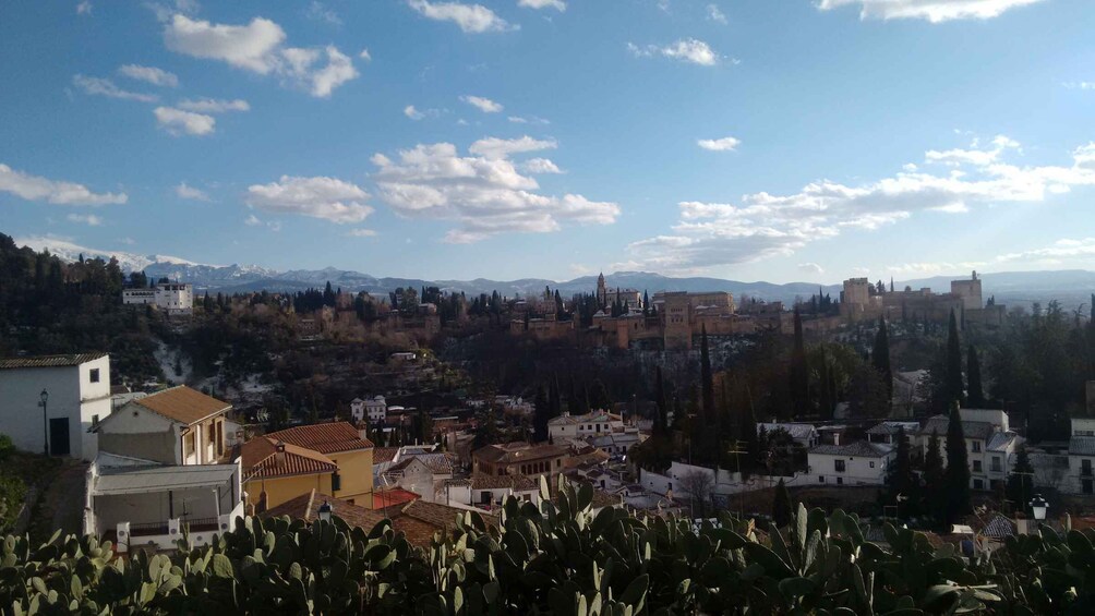 Picture 2 for Activity Granada: Albayzín and Sacromonte Private Tour