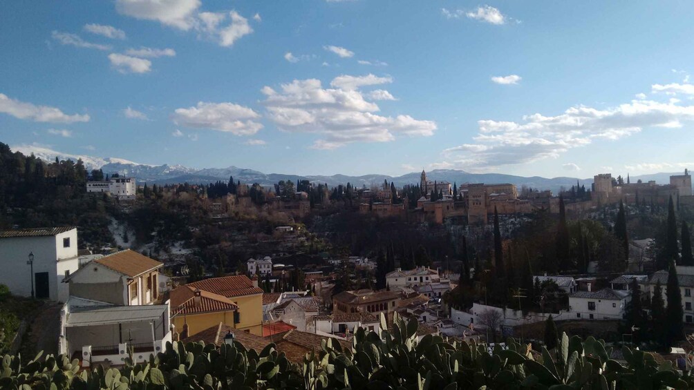 Picture 2 for Activity Granada: Albayzín and Sacromonte Private Tour