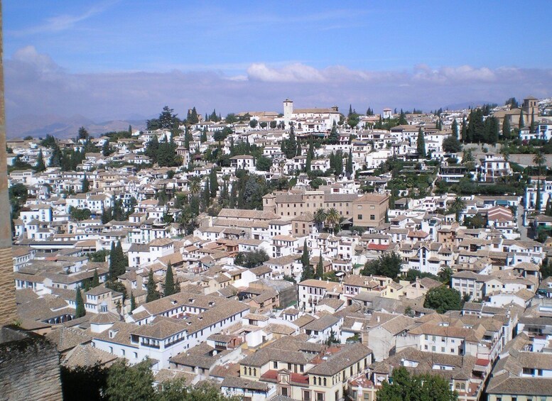 Picture 3 for Activity Albayzín and Sacromonte Private Tour