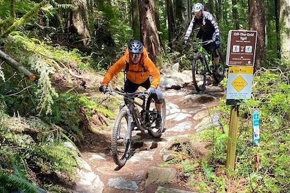 Full Day All-inclusive Mountain Bike Tour from Seattle
