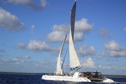 Tour to Isla Saona From Punta Cana with Transportation and Lunch