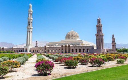 Muscat: tour privado de 4 horas por Muscat