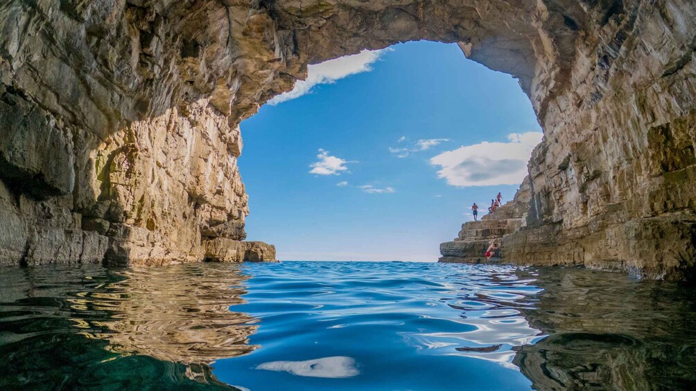 Picture 3 for Activity From Fažana: snorkeling at sea cave and Brijuni Island