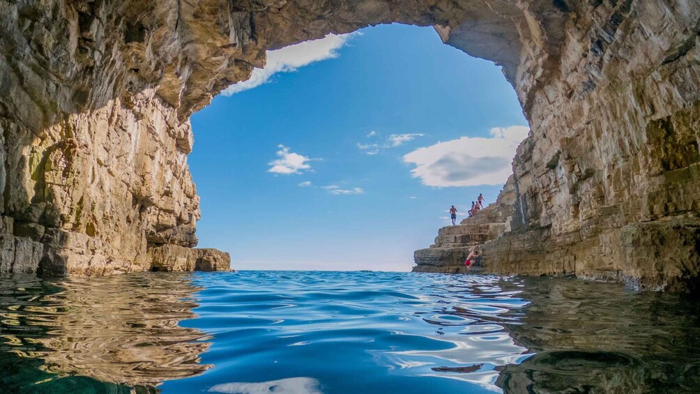 Picture 3 for Activity From Fažana: snorkeling at sea cave and Brijuni Island