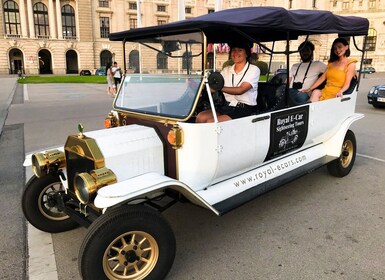 Wien: Privat sightseeingtur med elektrisk oldtimer