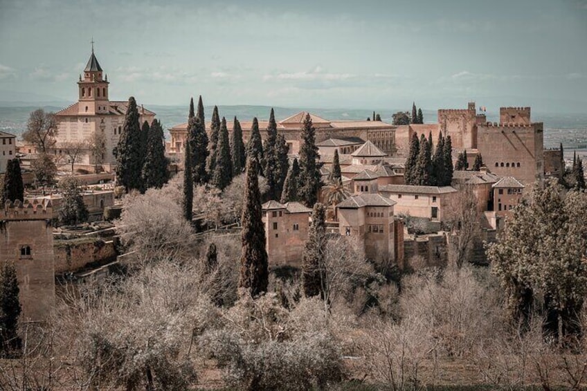Full Day Private Tour in Alhambra from Malaga