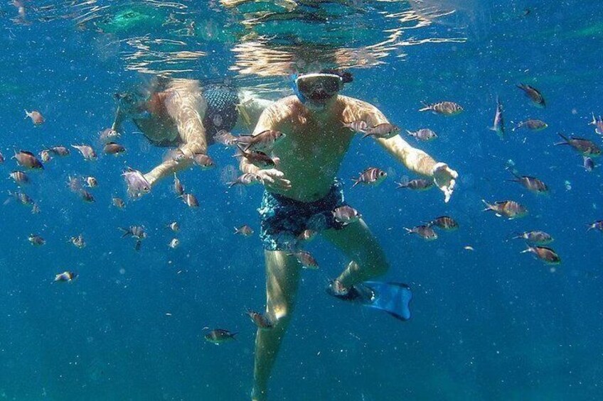 snorkeling 