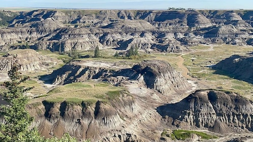 Visite privée des badlands canadiens