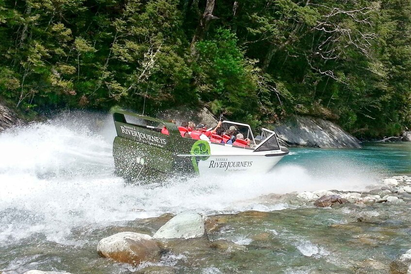 Picture 4 for Activity Wanaka: Jet Boat & Wilderness Walk