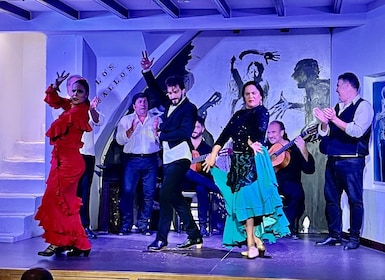 Séville : Flamenco Show à Tablao Los Gallos