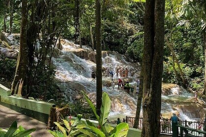 Dunn's River Falls Private Tour