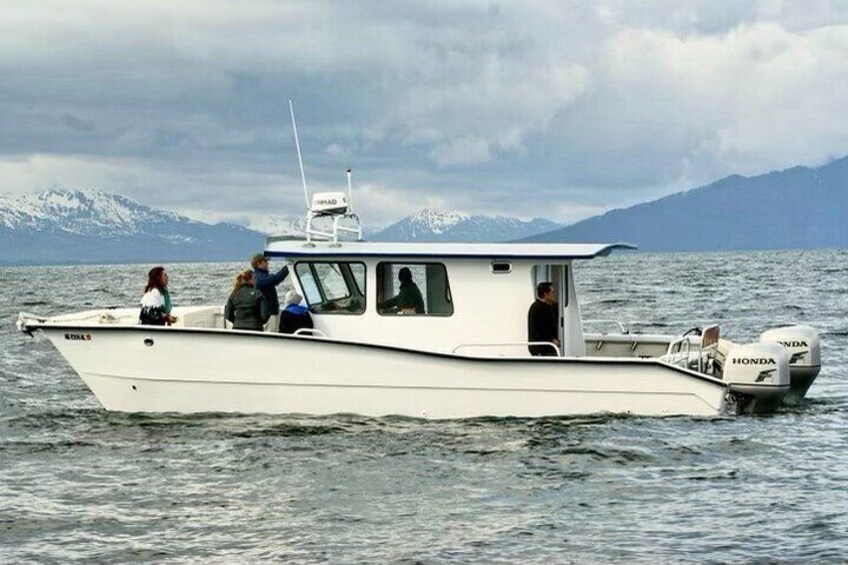 Icy Strait Whale & Wildlife Endeavor