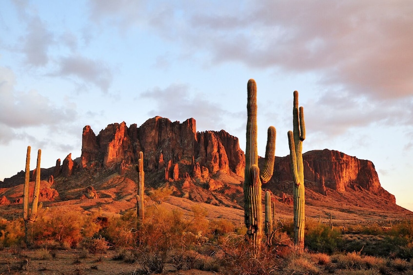 Saguaro East National Park Self – Guided Driving Tour