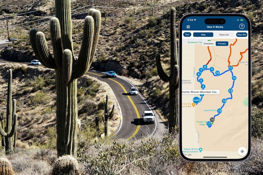 Saguaro East National Park Self – Guided Driving Tour