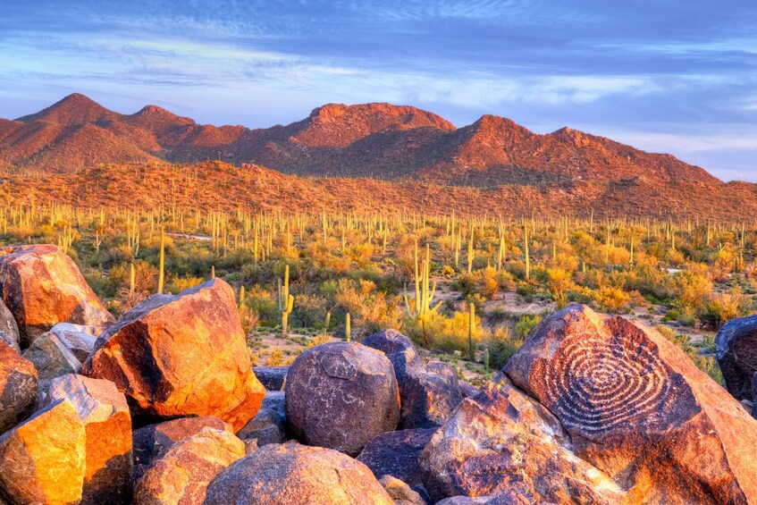 Saguaro East National Park Self – Guided Driving Tour