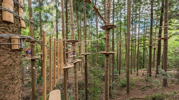 Admission to TreeTops Sydney - The Hills Adventure Park