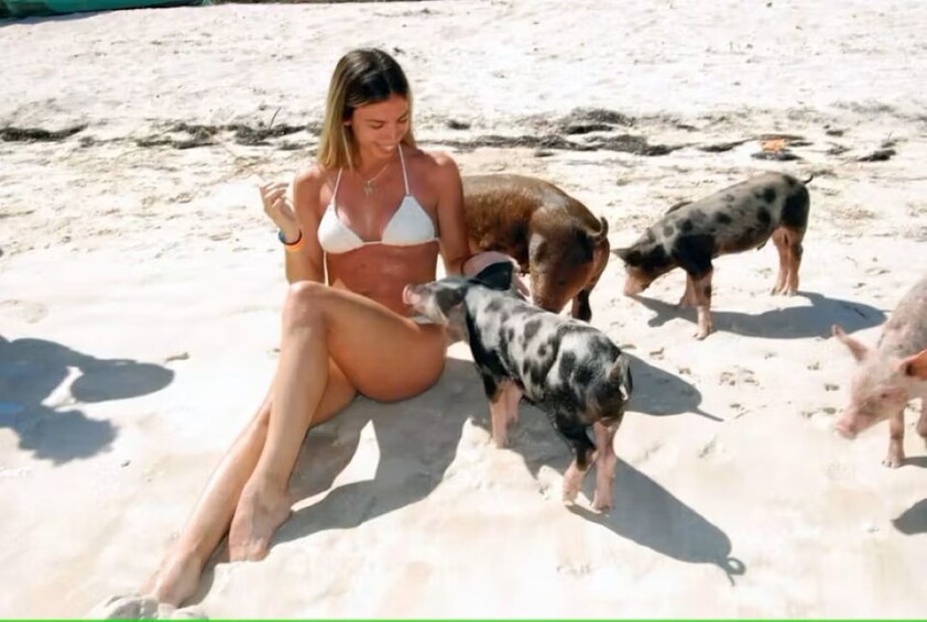 Paradise and Pigs