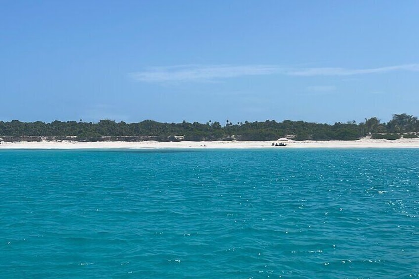 Private Eleuthera Swimming Pigs, Turtles and Pink Sand Beach