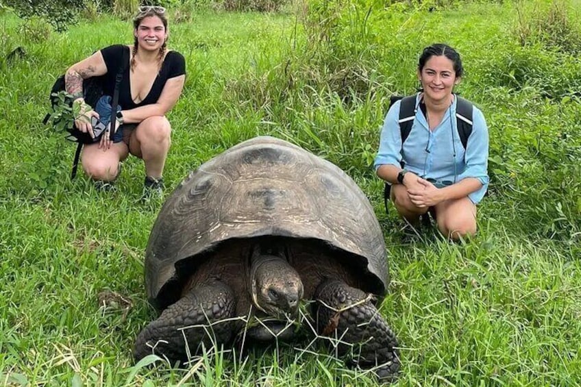 Tour from Airport with Turtles, Lava Tunnels and Twins