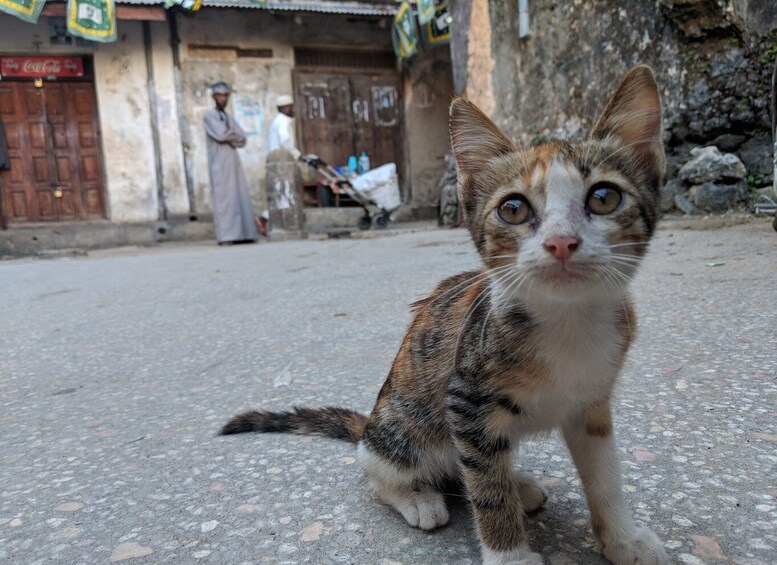 Picture 5 for Activity Stonetown Historical Walking Tour & Traditional Lunch