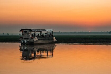 Kakadu National Park Yellow Water Sunset Cruise -Sacred Owl Tours