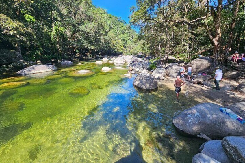 Aboriginal Full Day Tour to Mossman Gorge and Daintree Rainforest