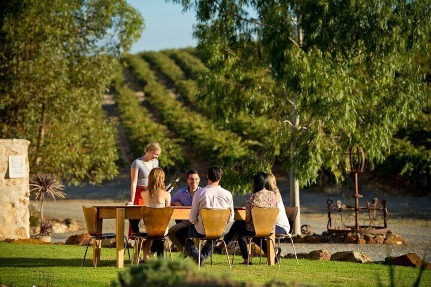 8 Hours Barossa Wine Tours Small Groups