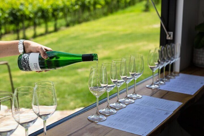 Barossa Small Group Wine Tours - Local Guide